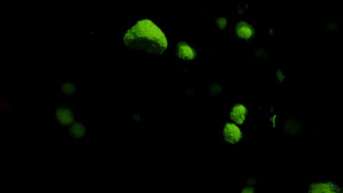 绿色体积荧光颗粒在黑色移动背景上移动和变化，过渡。