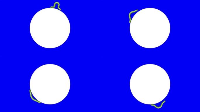 白色圆圈上的卡特彼勒，循环3D动画