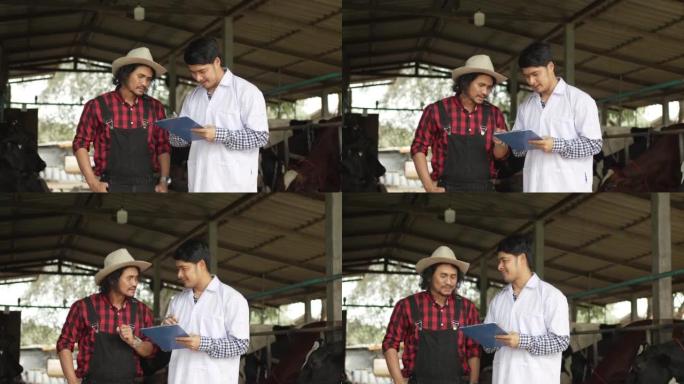 兽医和农民在奶牛场检查他的牲畜和牛奶质量。