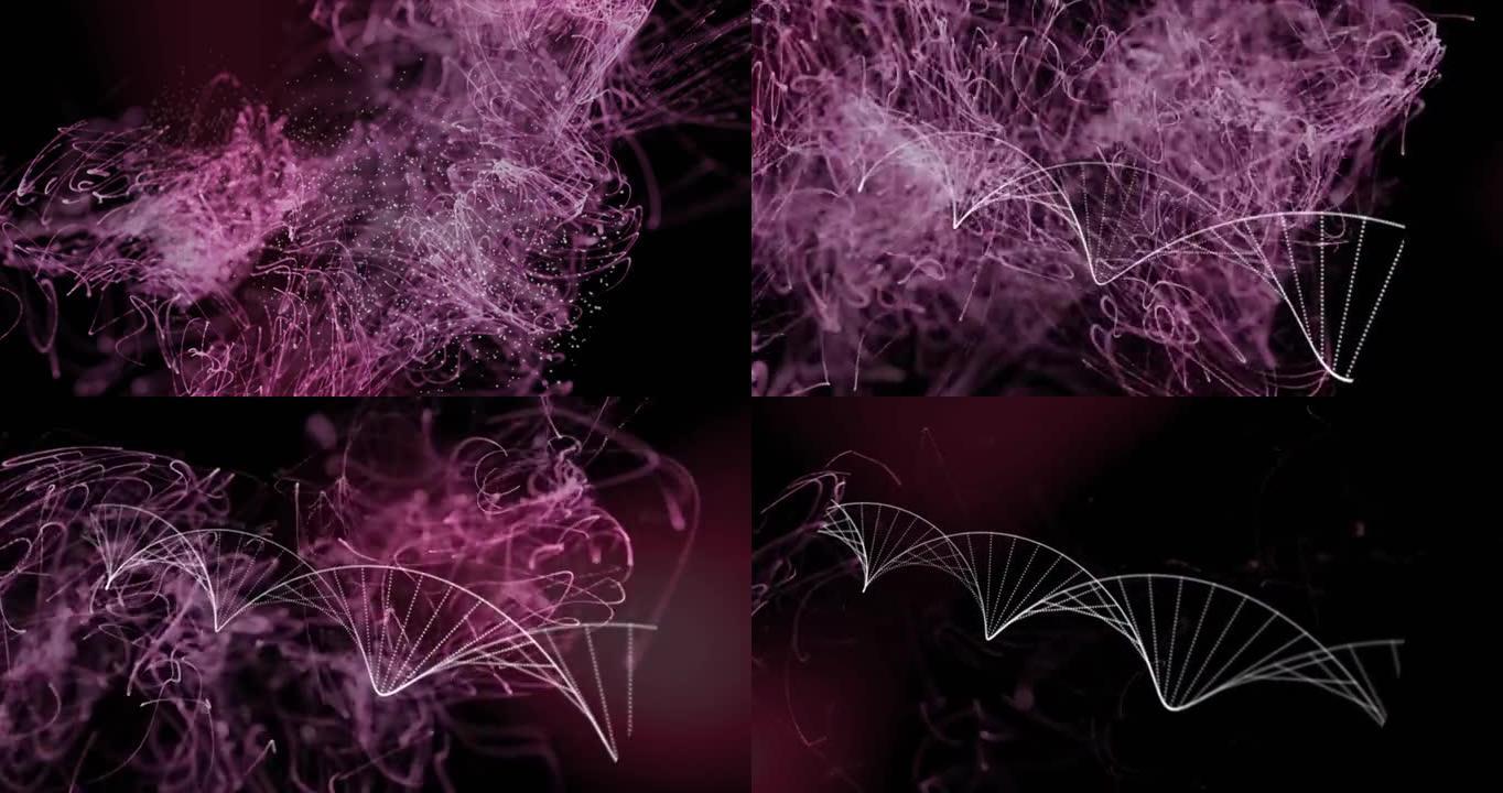 黑色背景下的dna结构和紫色光迹的数字动画
