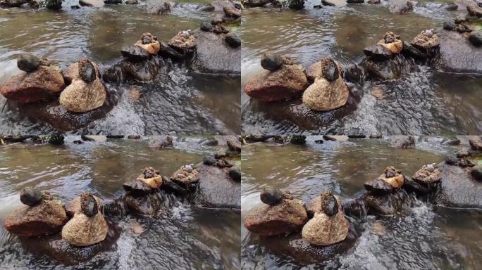 录像，河边的分层石头。