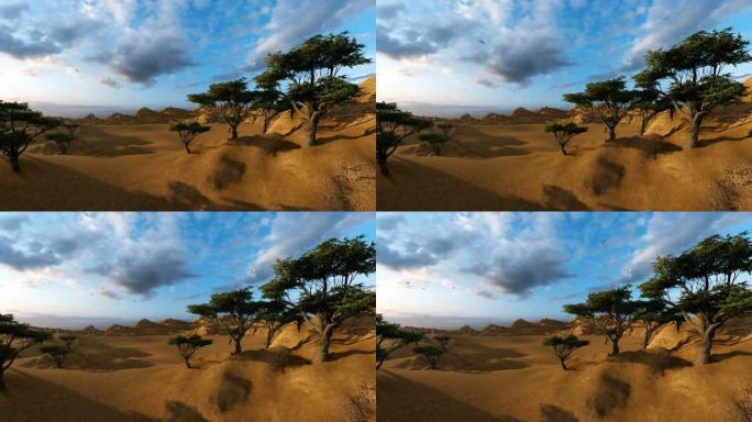 非洲沙漠中相思树上的惊人天空
