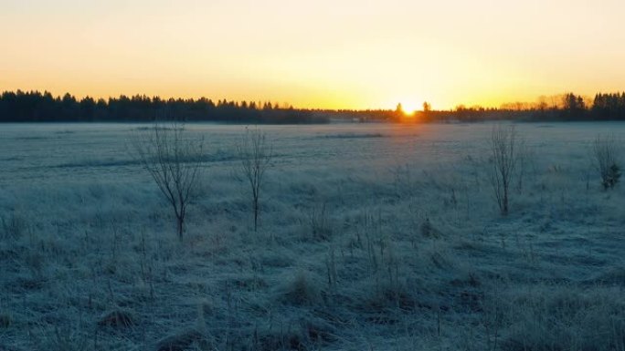 初冬黎明在一片白雪皑皑的田野上。