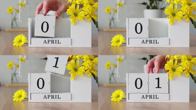 春季月份4月1日。女人的手翻过一个立方历法。黄色花朵旁边的桌子上的白色万年历。在一个月内更改日期。一