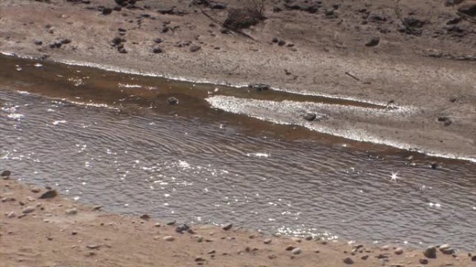 约旦河流入死海