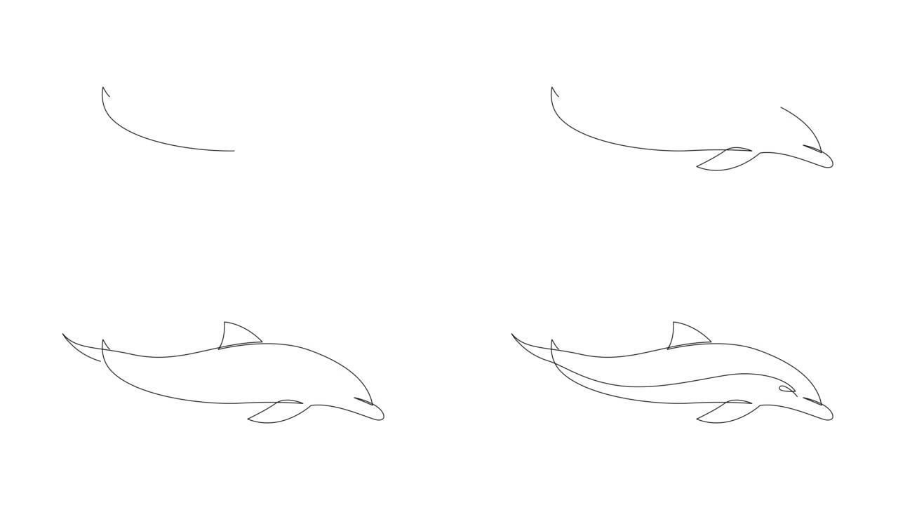 海豚单连续单线自画简单动画。手工绘制，白底黑线。