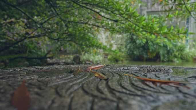 4K实拍，春雨中公园里的古石纹与绿树。