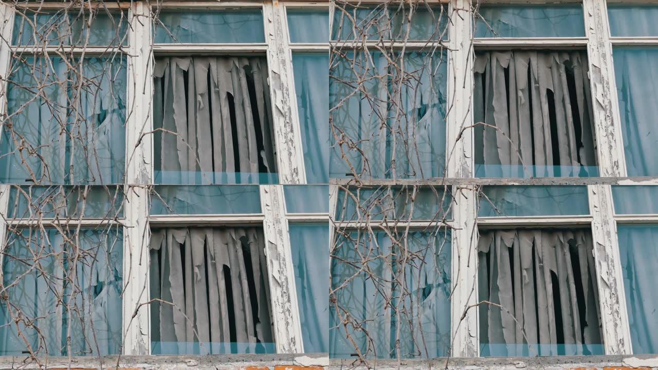 旧废弃窗户的外部，干燥的树枝和破烂的窗帘