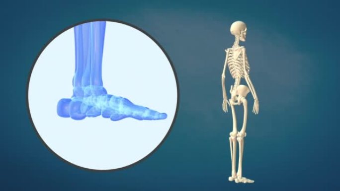 人类脚的医疗视频