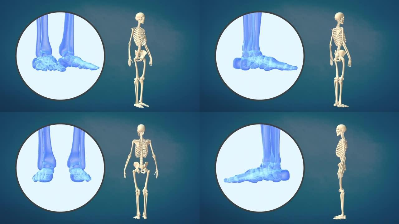 人类脚的医疗视频