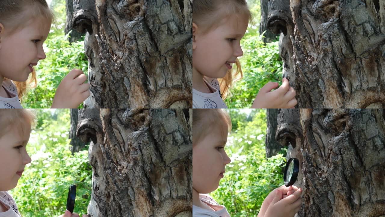 小女孩手里拿着放大镜观察大自然的细节。夏季户外儿童活动和学习理念。