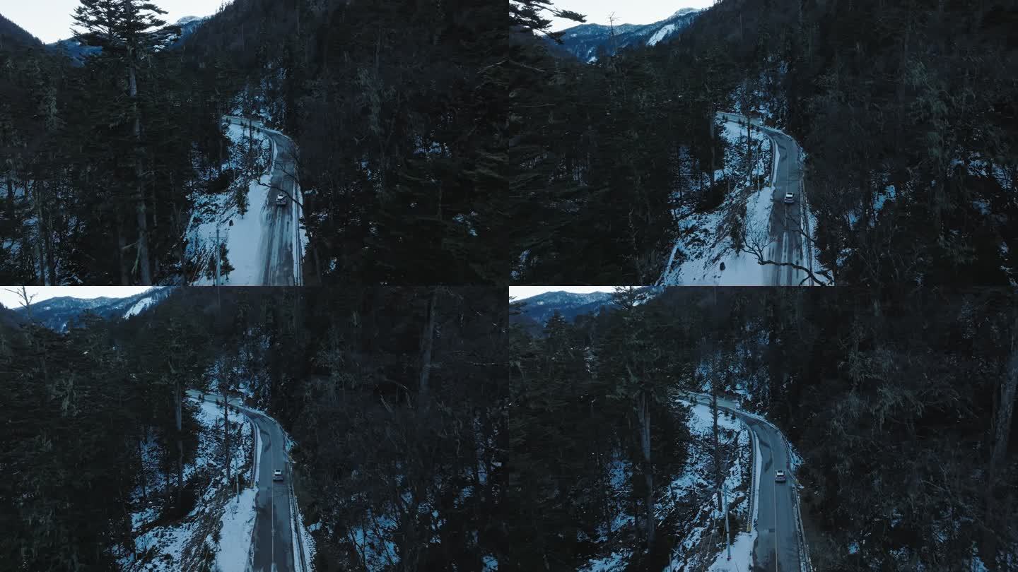 云南梅里雪山在冰天雪地的森林中行驶的汽车