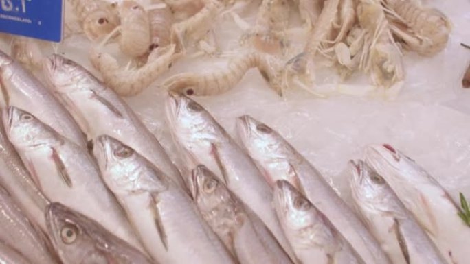 商店柜台上冰上鲜鱼的特写镜头。进口和销售海鲜。