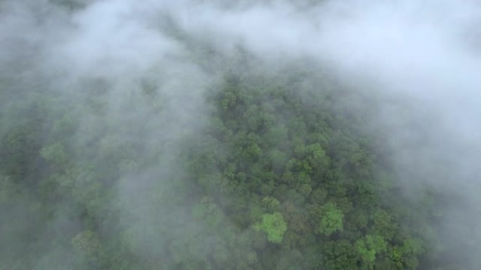 空中无人机电影拍摄的汽车和道路在早上下雨后越过山顶，有雾和绿色森林。