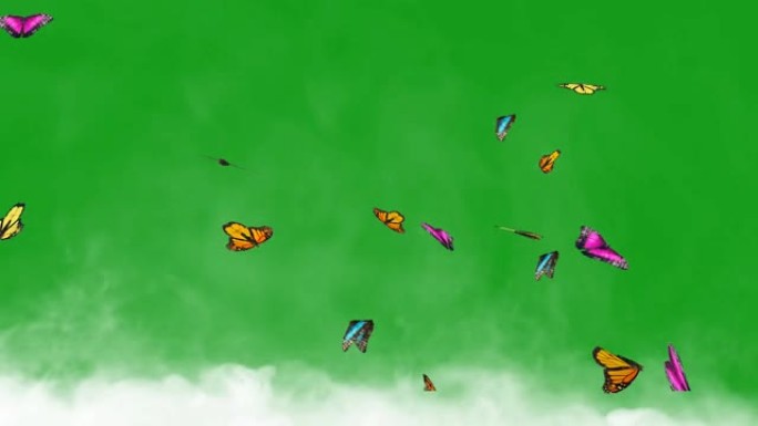 绿屏背景上有烟的飞蝶