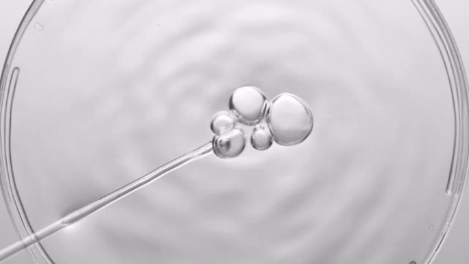 气泡从滴管中出来，漂浮在培养皿中的液体上