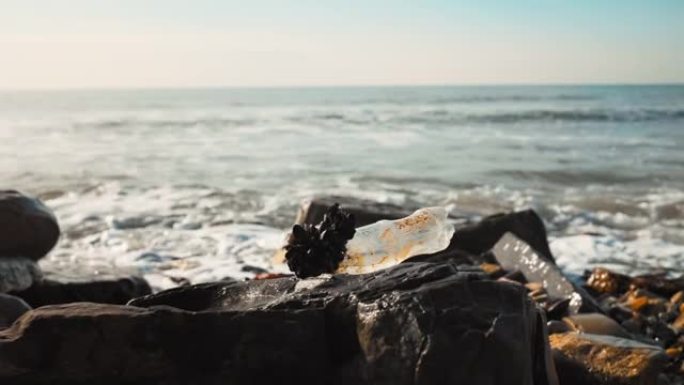 旧的脏塑料瓶躺在狂野的海滩上。海浪在背景中。世界地球日的概念