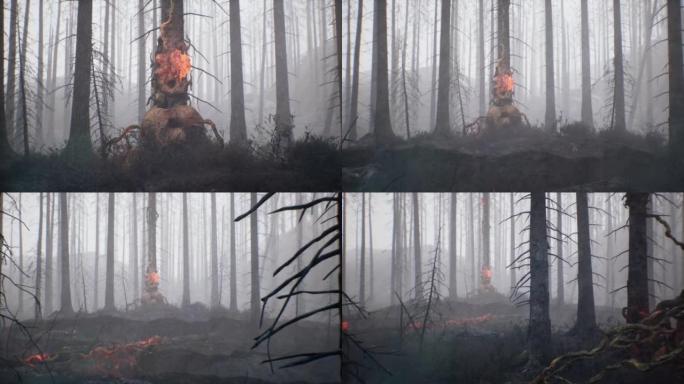 一场大火和闷烧的草地和地面后，雾蒙蒙的森林。烟云和火势蔓延。气候变化的概念。动画是自然、环境和世界末