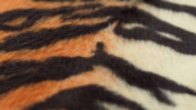 虎皮面料特写。动物印花背景，条纹羊毛纺织品。2022年的象征。手工制作、时尚设计和剪裁理念
