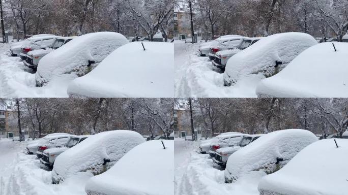 跟踪在院子里严冬风暴下被雪覆盖的汽车的照片。雪在街道和汽车上漂移。