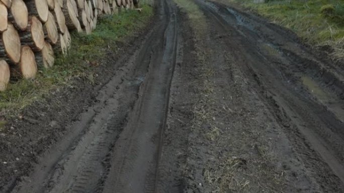 爱沙尼亚森林中央的泥泞道路