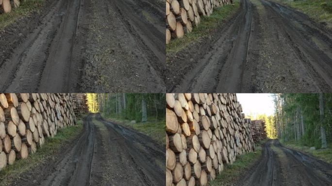 爱沙尼亚森林中央的泥泞道路