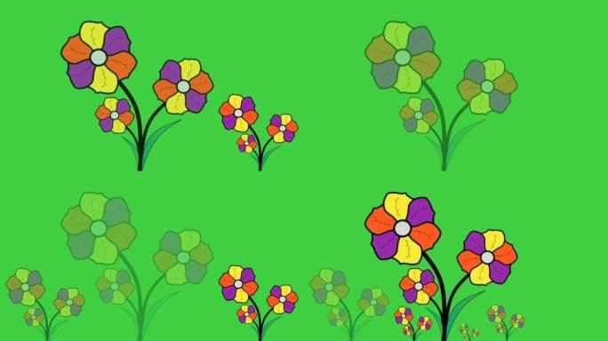 一段盛开的花朵与绿色背景交替出现的视频
