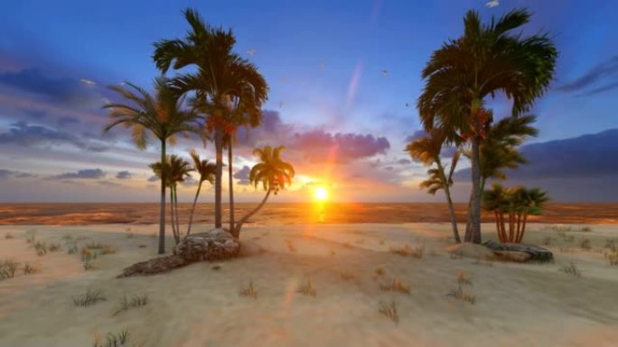 海滩上棕榈树令人惊叹的日落