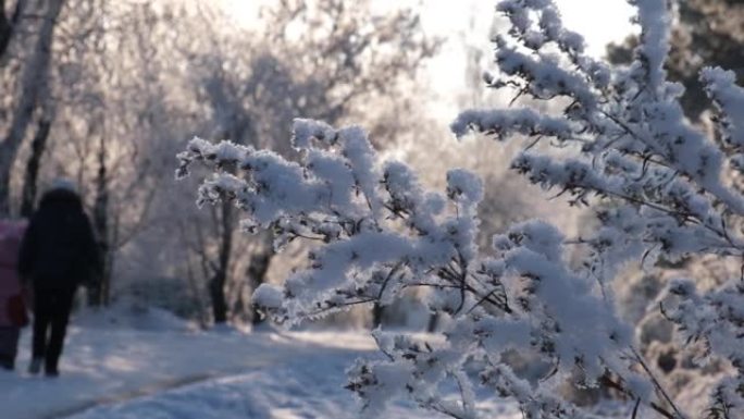 冬季场景，令人惊叹的冰冻自然，人们在美好的冬日在雪中行走。