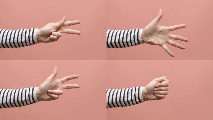 粉红色背景下的女性手从0到5计数。女人展示拳头，然后是一，二，三，四，五个手指，弯曲手指，从五数到一
