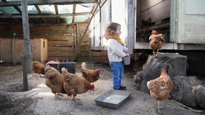 婴儿小女孩儿童有趣的饲料鸡在农场农村给他们倒小米和谷物