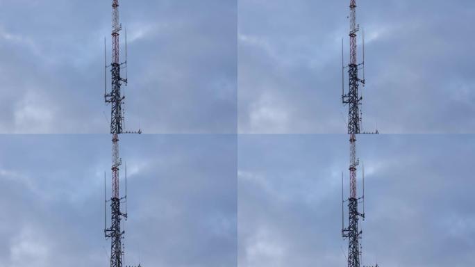 无线电塔上的鸟5G