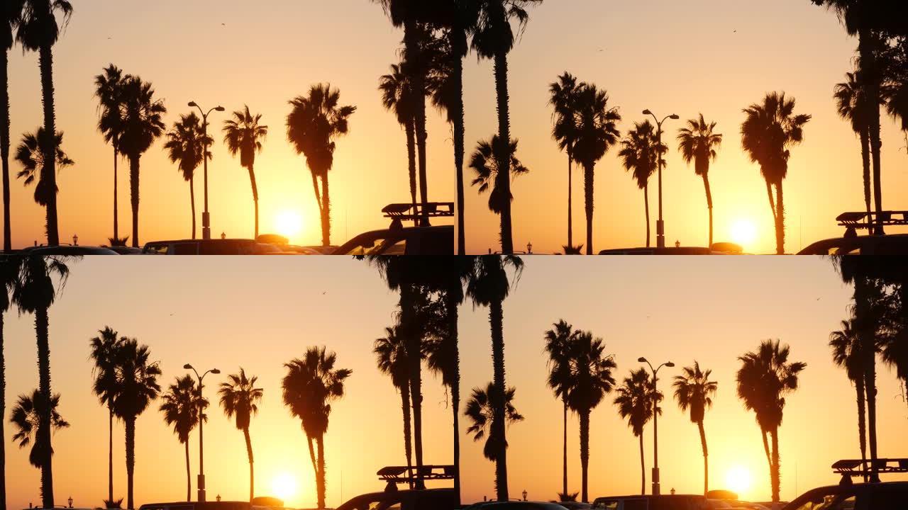 橙色的天空，日落时海滩上棕榈树的剪影，美国加利福尼亚海岸。