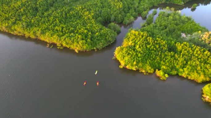 日落场景空中俯视图游客或研究人员的船桨动作桨在淡水河湖皮划艇中发现和探索泰国攀牙省植物园热带地区的性