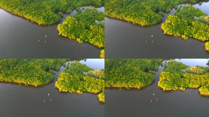日落场景空中俯视图游客或研究人员的船桨动作桨在淡水河湖皮划艇中发现和探索泰国攀牙省植物园热带地区的性