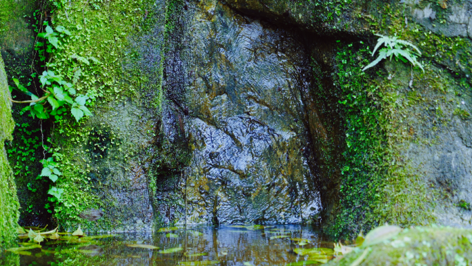 石岩上流淌的溪水丨4K丨原创实拍