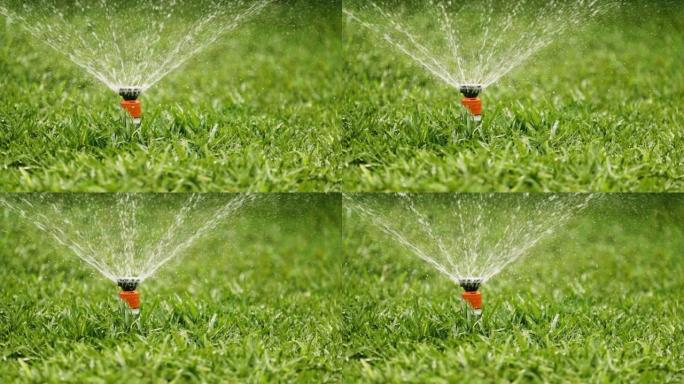 自动草坪洒水器在花园中工作。在院子里浇草