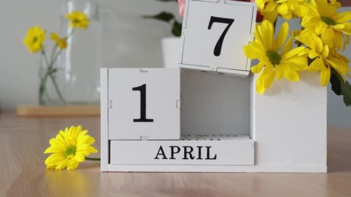 春季月份4月17日。女人的手翻过一个立方历法。黄色花朵旁边的桌子上的白色万年历。在一个月内更改日期。