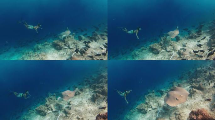 人在海里游泳和潜水。自由潜水者在马尔代夫的水下游泳，看着黄貂鱼在礁石上游泳