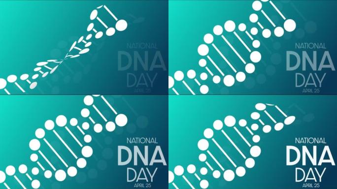 国家DNA日。4月25日。高清，4k镜头。运动设计假日动画。