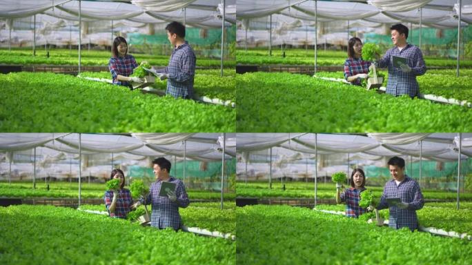 亚洲夫妇农民在水培农场直播产品时用相机交谈