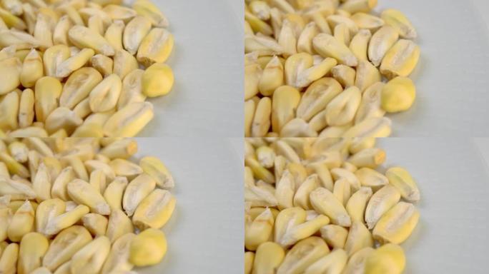白色陶瓷碗上的Cancha玉米种子。干玉米。宏