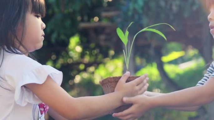 可爱的小女孩给她的妹妹一个小植物在一个盆里绿色背景的春天生态概念。世界环境日。