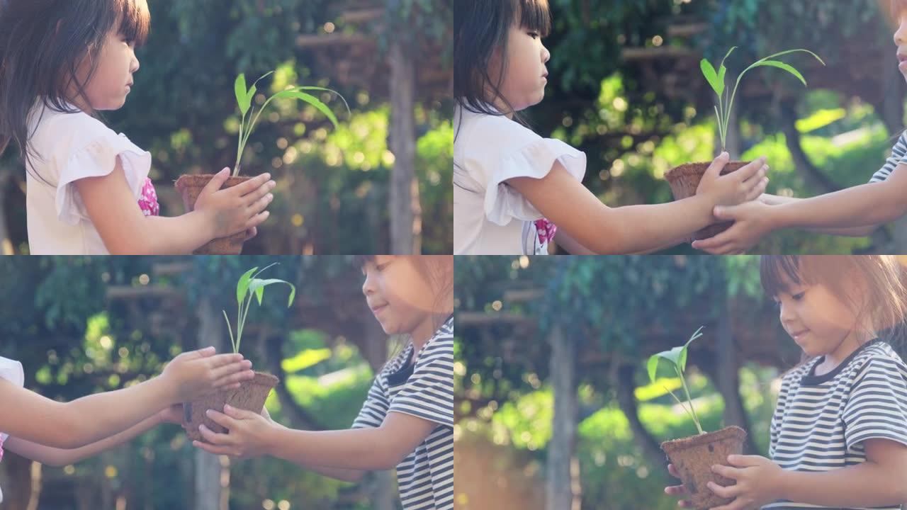 可爱的小女孩给她的妹妹一个小植物在一个盆里绿色背景的春天生态概念。世界环境日。