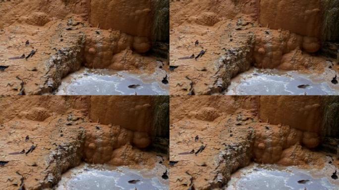 温泉硫磺水在岩石上下游流动。