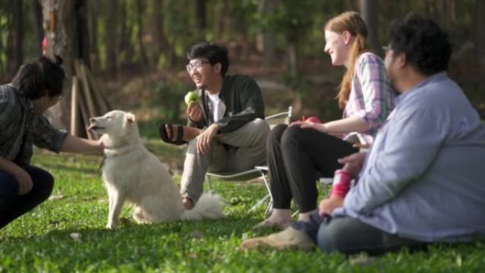 一群朋友在公园野餐，和他们的狗在一起。
