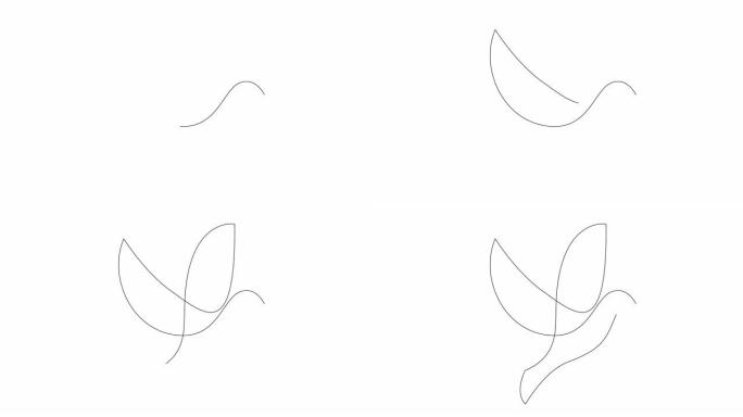 单线动画自画画可爱的飞鸽鸟。自由与和平运动图标的简约鸽子吉祥物概念。一行动画。标志标识