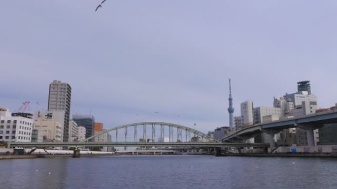 从东京河上航行的船上看到的风景