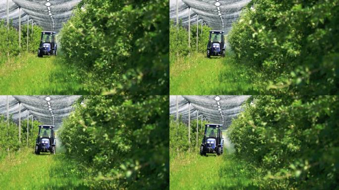 农民驾驶拖拉机穿过苹果园，并向树木喷洒杀虫剂和杀真菌剂