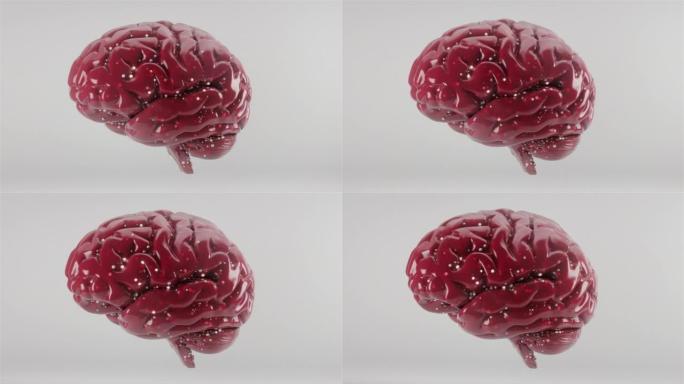 带有红色norons的抽象大脑3d动画